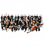 Musiker der Kammerakademie Potsdam
