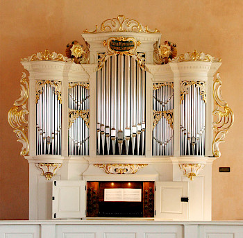 Grüneberg-Orgel in der frz. Kirche Potsdam, Photo: Ch. Förste