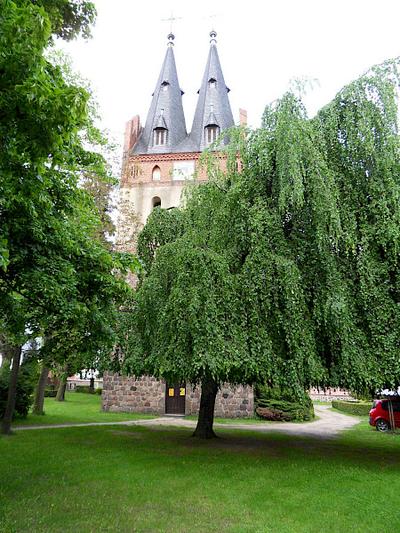Bild zeigt eine Kirche hinter ein paar Bäumen