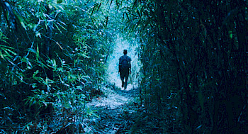 Ein Junge geht allein in Wald