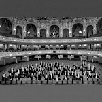 Ein großer Orchester sitzt im Publikumsbereich im Opernhaus