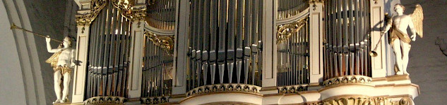Oberteil von einem Orgel