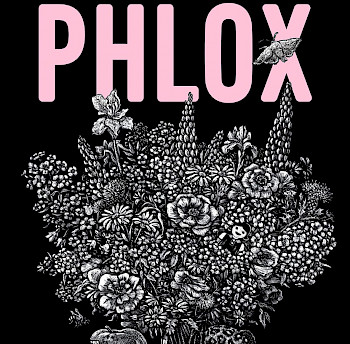 Poster von dem Buch "Phlox"