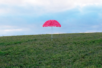Auf einer leeren Wiese steht ein auffälliger pinkfarbener Sonnenschirm, der eher an einen Meeresstrand passt