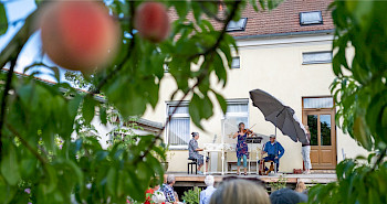 Die MusikerInnen spielen Musik im Garten