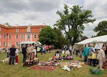 Schlossfest in Wolfshagen