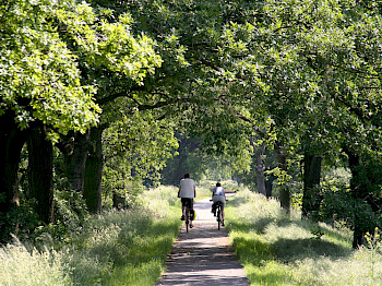 1 Paar fährt Fahrrad in der Natur