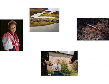 Photocollage, 1 mit einem Mädchen, 1 mit gestorbenem Baum, 1 mit Gewässer, 1 mit einem Junge und den Polizisten