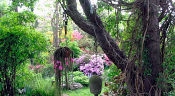 Garten mit blühenden Rhododendren