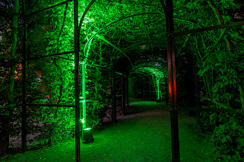 Garten in grünem Licht