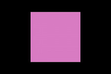 rosa Quadrate