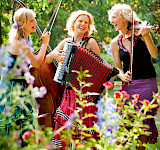 Trio Muzet Royal spielt Musik in der Natur