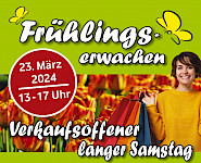 Plakat «Frühlingserwachen»
