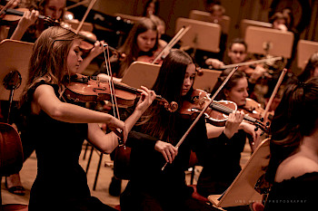 Junge Philharmonie Brandenburg (Photo: Uwe Hauth)
