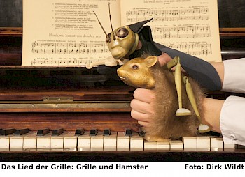 Das Lied der Grille (Photo: Dirk Wildt)