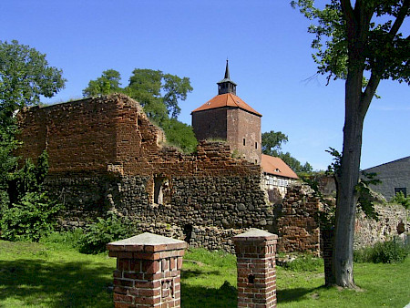Eine kleine Burg und oder Burgruine von der Seite, auf einer Wiese, mit einem Baum
